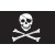 Pirate skull and crossbones